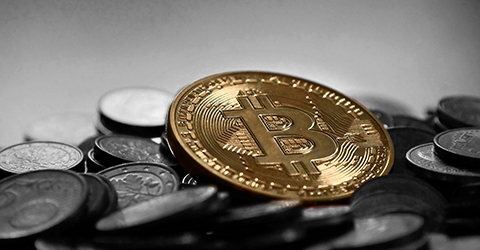Use your bitcoins to pay taxes.